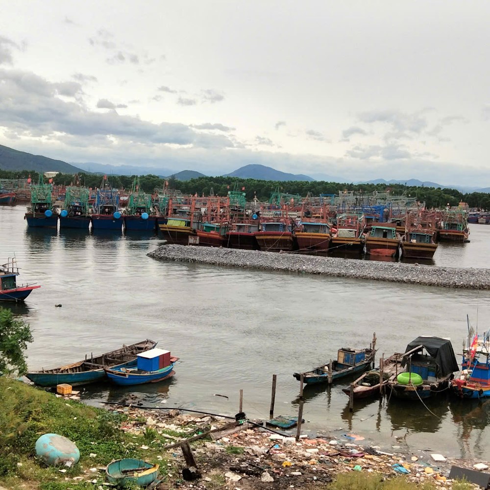 Còn 161 phương tiện với 697 lao động đang hoạt động trên biển - ảnh 1