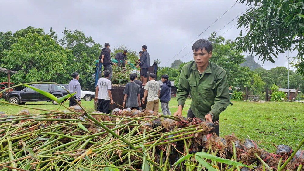 Chung tay vun đắp sinh kế cho người dân vùng biên giới - ảnh 2