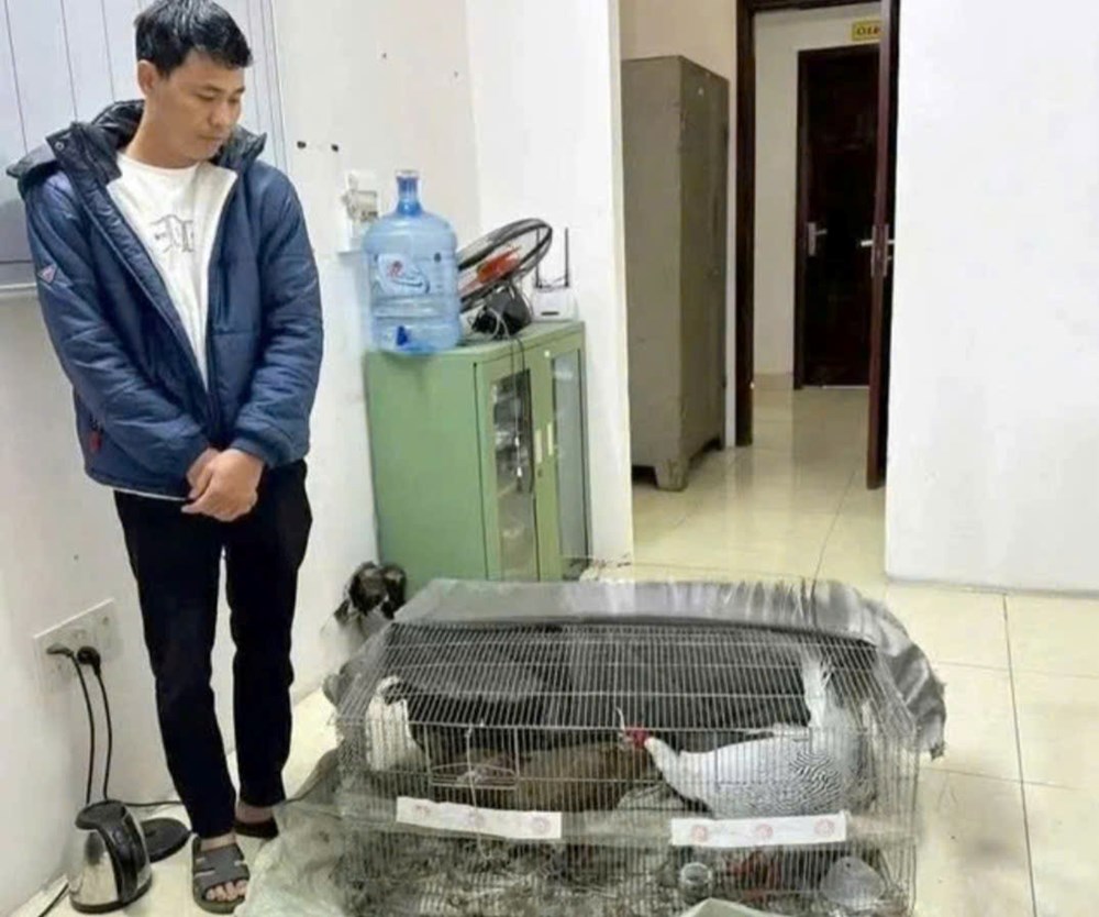 Được trở về nhà, cấm đi khỏi nơi trú và chờ xét xử phúc thẩm - ảnh 1