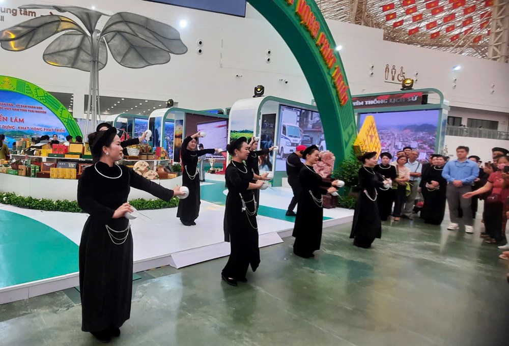Đậm màu sắc văn hoá dân tộc các tỉnh, thành tại không gian Triển lãm Thành tựu đất nước - ảnh 6