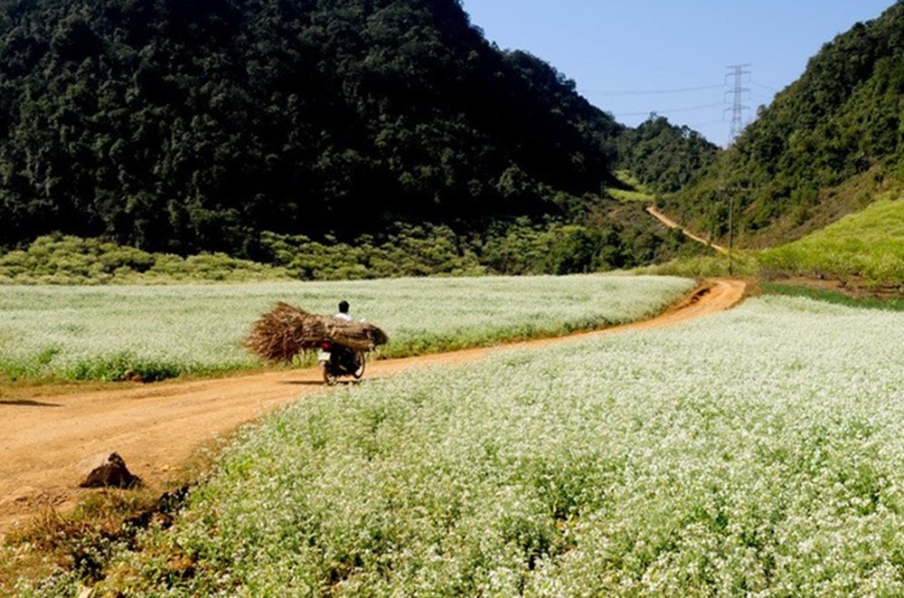 5 điểm du lịch miền Bắc lạnh giá nhưng đẹp quên lối về - ảnh 3