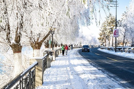 Du khách Việt đi tìm cảm hứng mới - ảnh 4