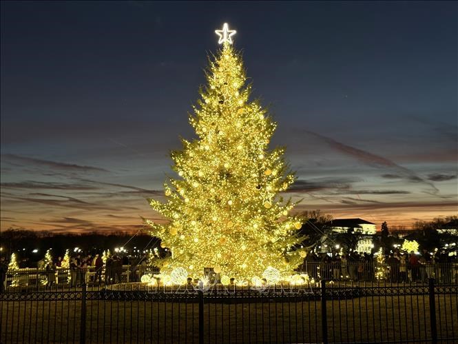 Pháo hoa rực rỡ trên bầu trời khắp thế giới chào đón năm mới 2026 tràn đầy hi vọng - ảnh 8