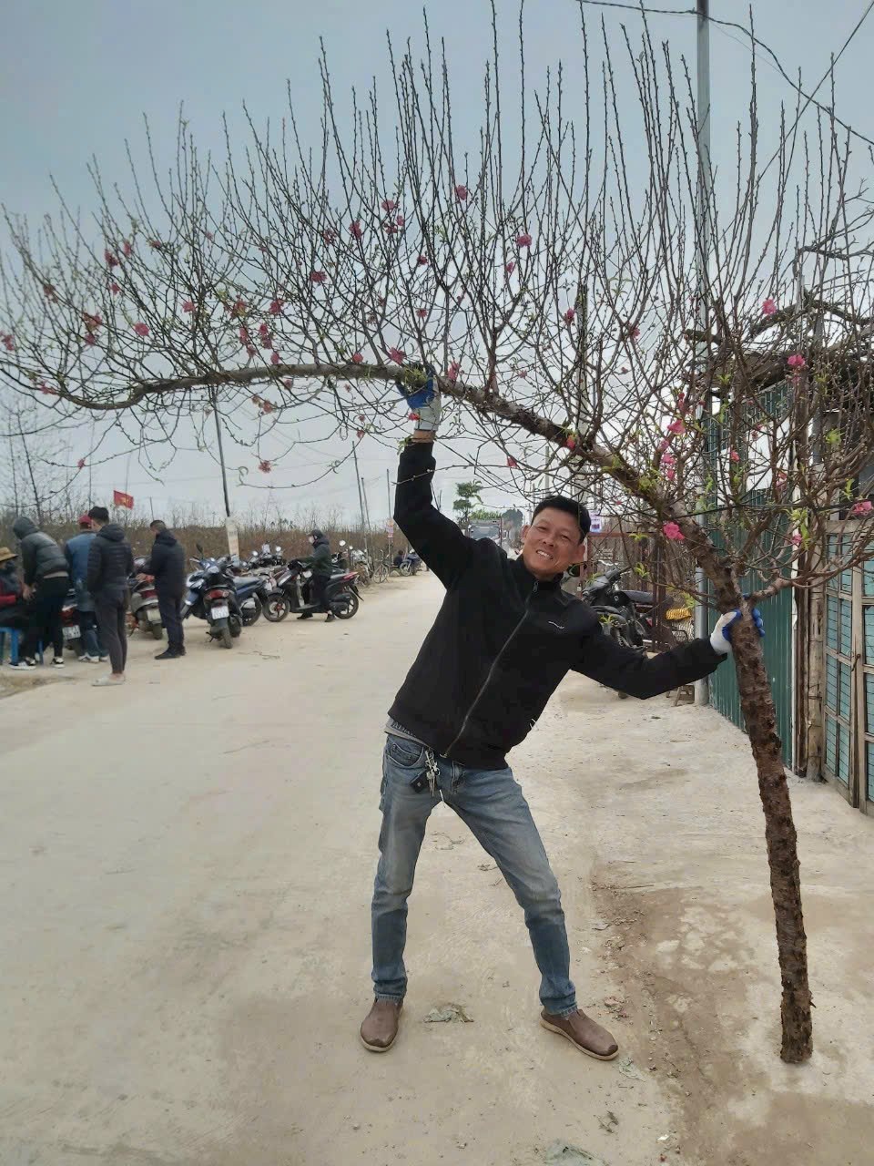 Vườn đào Nhật Tân bắt đầu nhộn nhịp khách trước Tết Bính Ngọ - ảnh 3