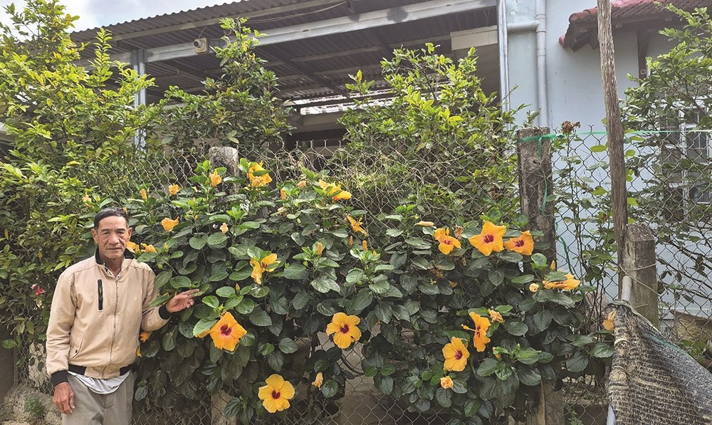 Mầm Xuân trên vùng “rốn lũ” Diên Điền - ảnh 2