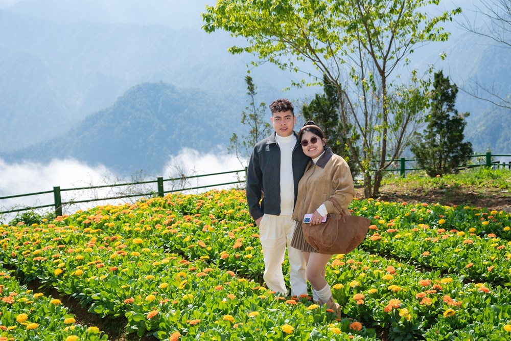 Lạc lối với thiên đường hoa cải vàng tại Fansipan - ảnh 4