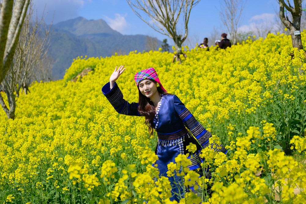Lạc lối với thiên đường hoa cải vàng tại Fansipan - ảnh 3