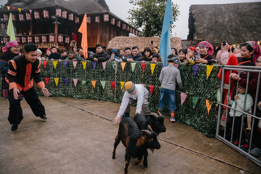 Lạc lối với thiên đường hoa cải vàng tại Fansipan - ảnh 8