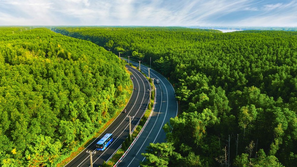 5.000 runners đếm ngược tới ngày “detox phổi” tại “mỏ oxy khổng lồ” của TP.HCM - ảnh 1