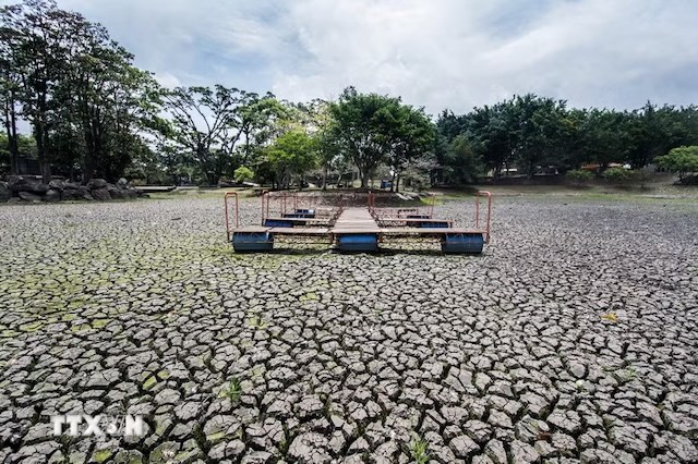 Hồi chuông cảnh báo khi Trái Đất vượt ngưỡng nóng - ảnh 1