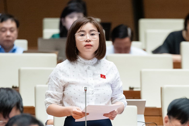 Sửa luật về quản lý, sử dụng vũ khí, góp phần bảo đảm trật tự, an toàn xã hội - ảnh 1