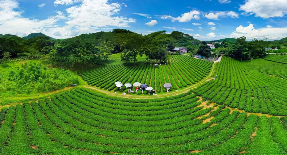 Điểm đến hấp dẫn cho du khách khám phá vẻ đẹp thiên nhiên và văn hóa độc đáo - ảnh 1