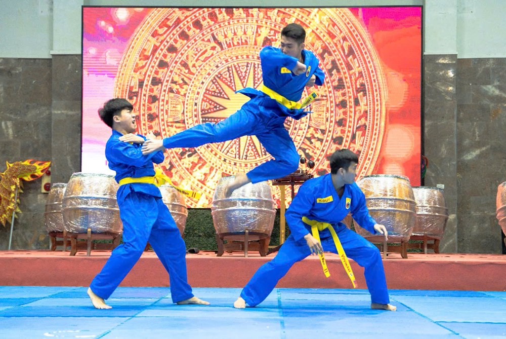 IVS tham dự Giải võ thuật quốc tế kỷ niệm 40 năm Vovinam – Việt Võ Đạo tại Senegal - ảnh 3