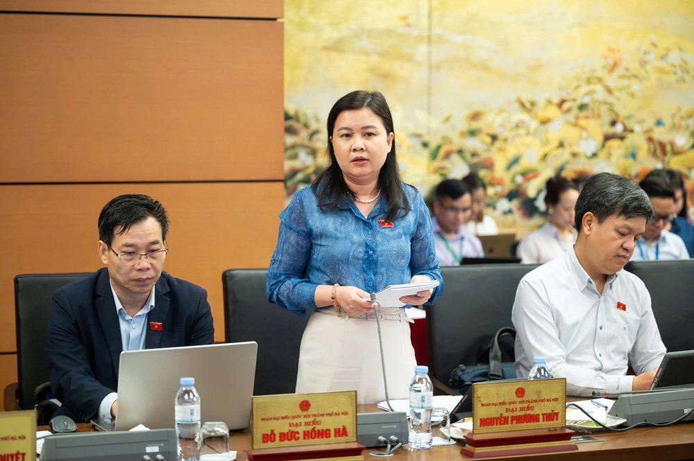 Khơi dậy nội lực văn hóa trong phát triển bền vững từ gốc - ảnh 2