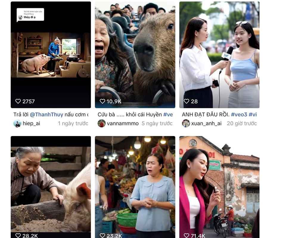 Video ảo, hệ luỵ thật - ảnh 1