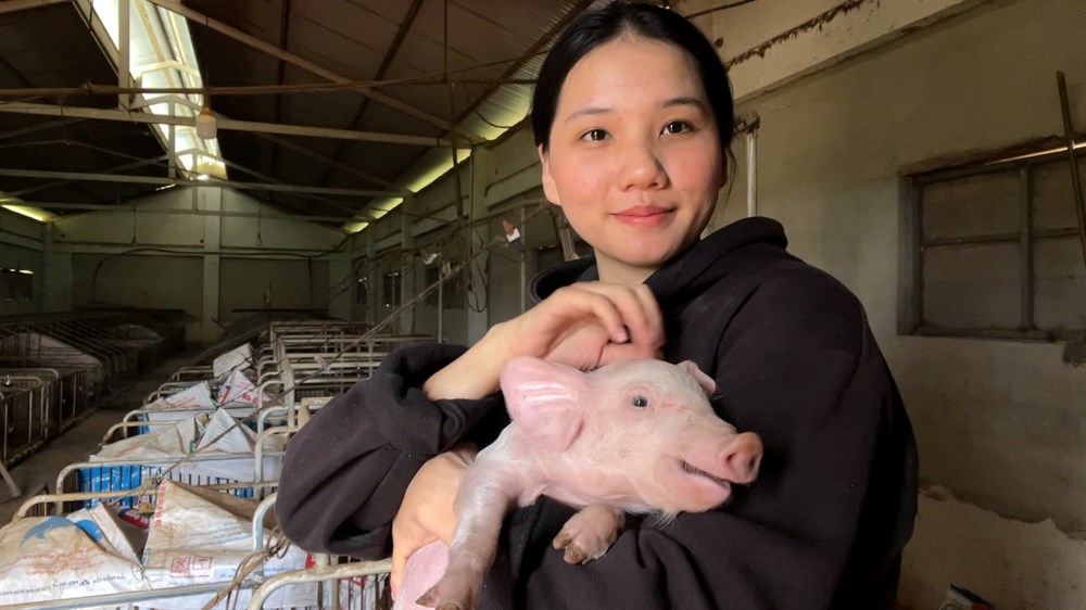 Cô gái gen Z “trốn phố, về quê” nuôi lợn - ảnh 1