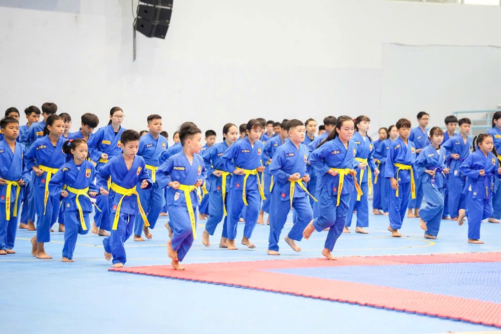 Khơi dậy niềm tự hào võ Việt - ảnh 1