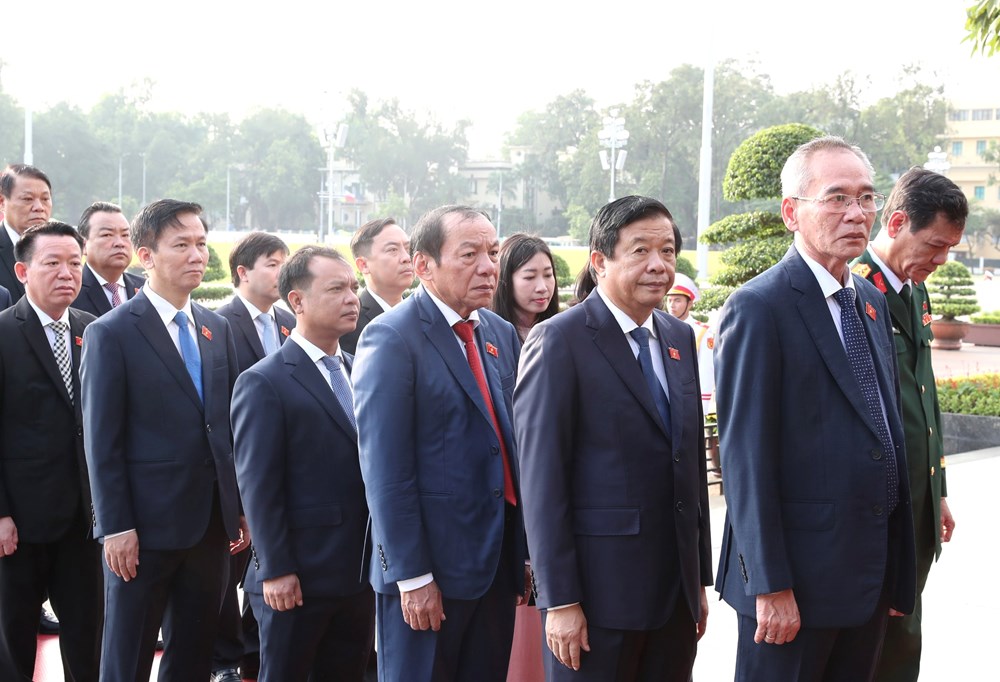 Các đại biểu Quốc hội vào Lăng viếng Chủ tịch Hồ Chí Minh - ảnh 5