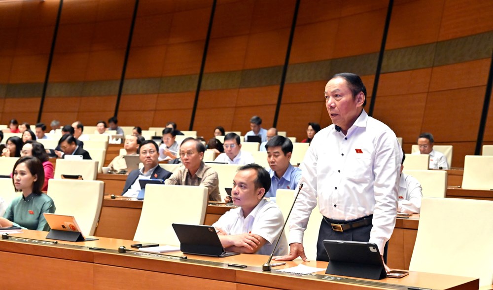 Văn hóa đã được xác định là sức mạnh nội sinh, hệ điều tiết của sự phát triển bền vững - ảnh 1