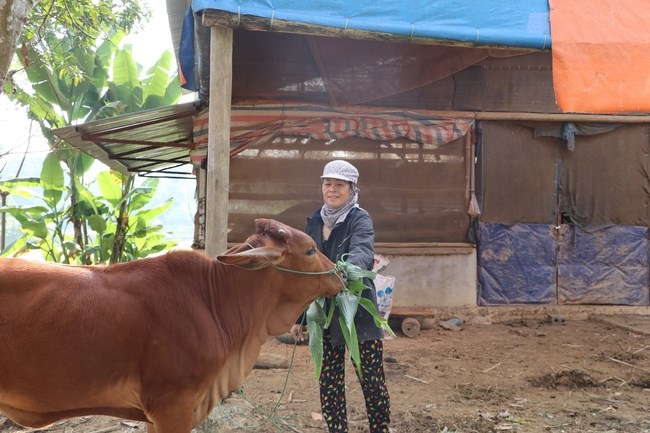 Chính sách hỗ trợ sinh kế và an sinh xã hội – điểm tựa để người dân thoát nghèo - ảnh 1