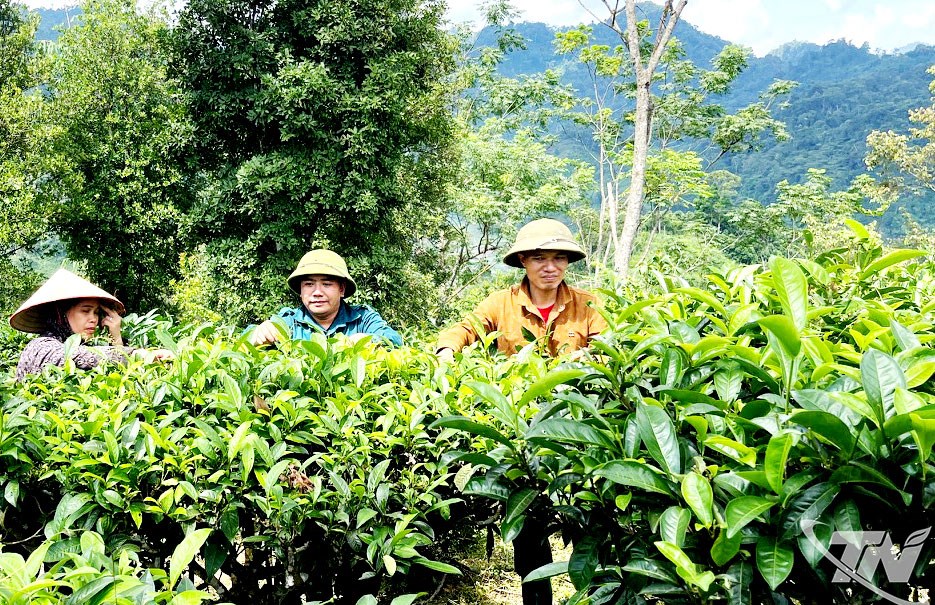 Thái Nguyên: Cùng vào cuộc để giảm nghèo bền vững - ảnh 3