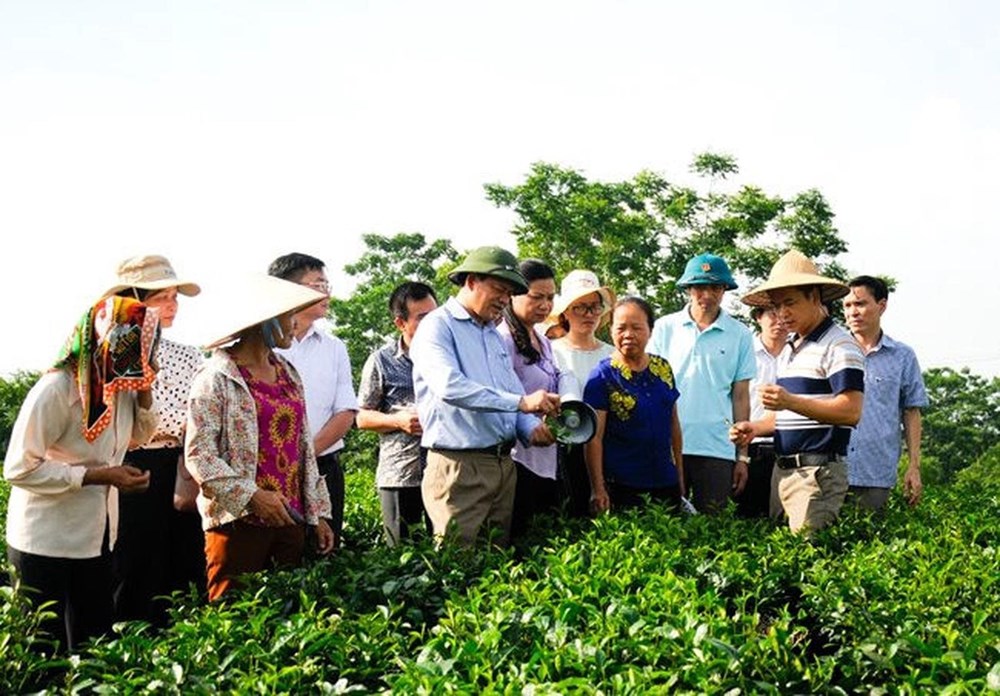 Hành trình bền vững từ sức dân và những đổi mới trong cách làm - ảnh 1