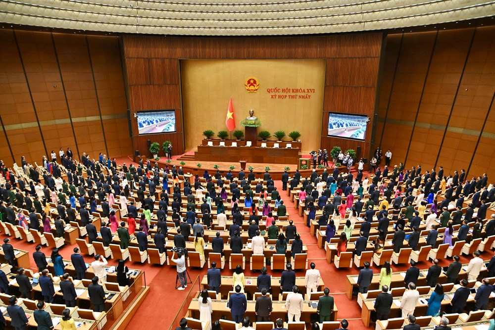 Hai người có đơn phản ánh đều bảo đảm tiêu chuẩn, đủ tư cách đại biểu Quốc hội khóa XVI - ảnh 2