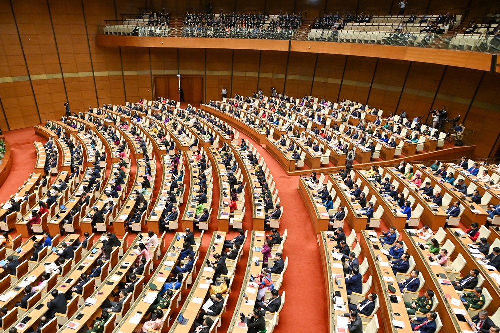 Hôm nay, Quốc hội sẽ bầu Chủ tịch nước và Thủ tướng Chính phủ - ảnh 2