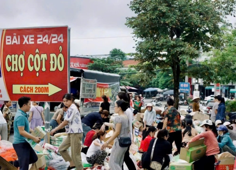 Hội nhóm xứ Thanh hướng đến đồng bào vùng lũ - ảnh 3