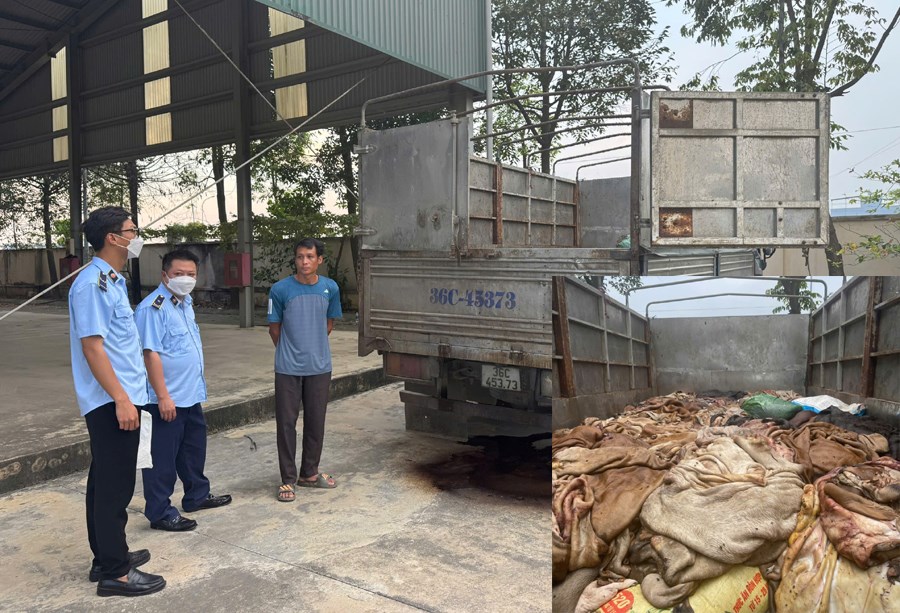 Tiêu hủy 5 tấn da trâu, bò bốc mùi giữa trời nắng gắt - ảnh 1