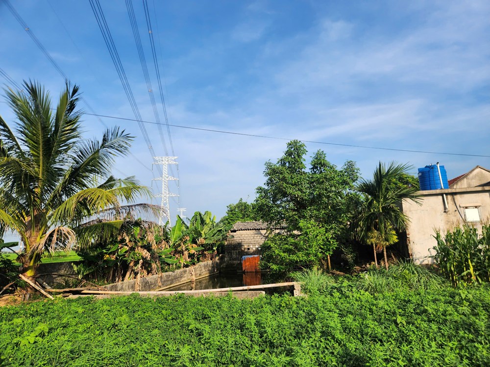 Người dân tố sai phạm trong chi trả đền bù đường dây 500kV - ảnh 1