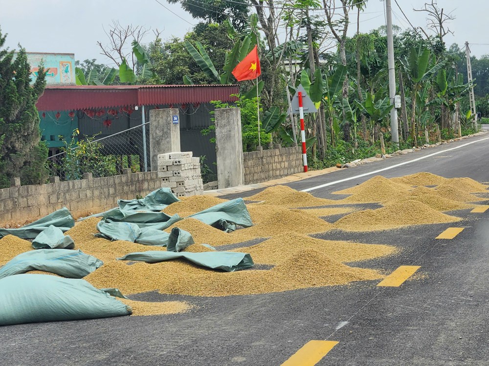 Hiểm họa giao thông mùa gặt - ảnh 1