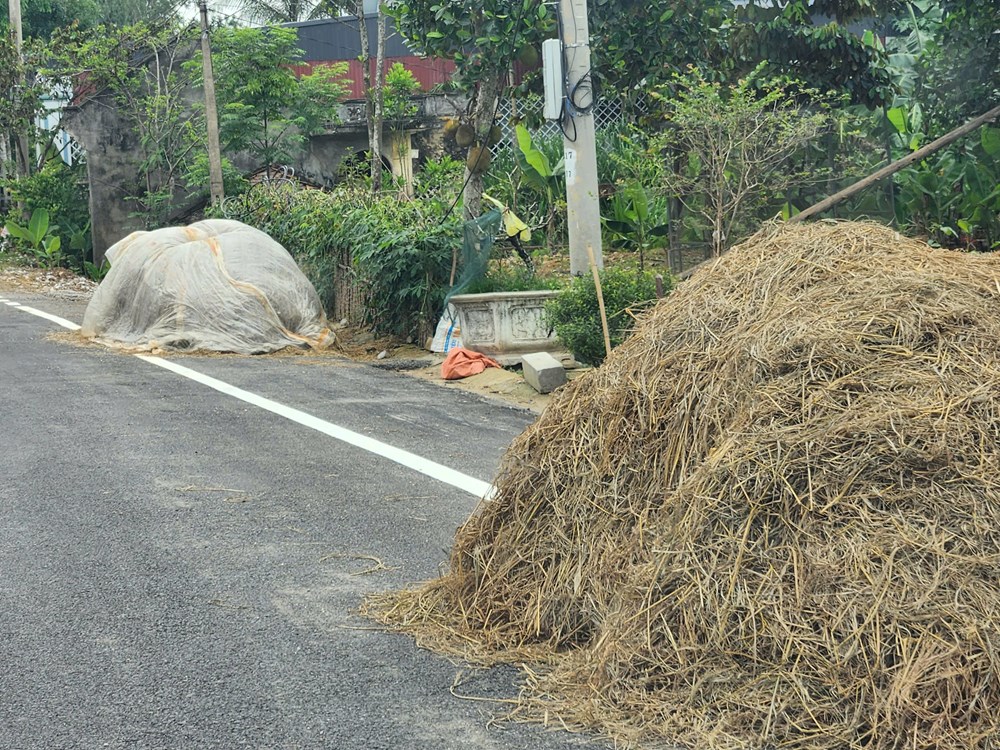 Hiểm họa giao thông mùa gặt - ảnh 6