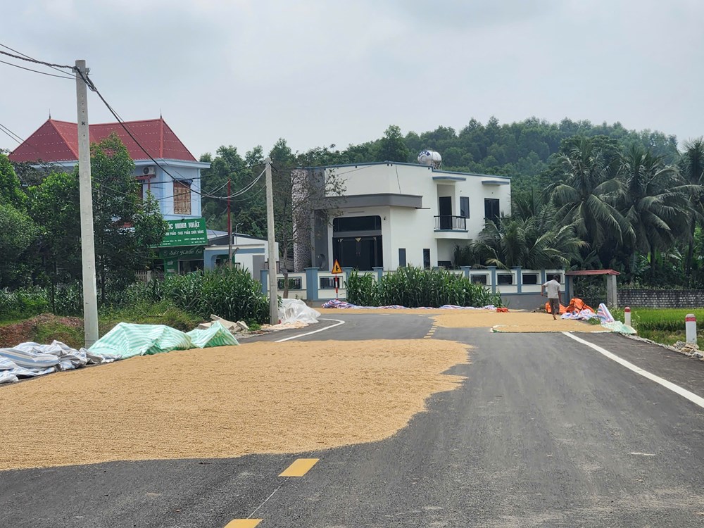 Hiểm họa giao thông mùa gặt - ảnh 7
