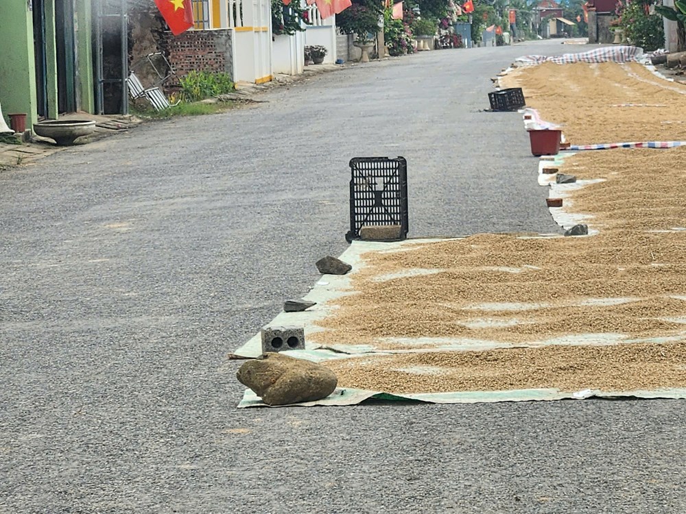 Hiểm họa giao thông mùa gặt - ảnh 4