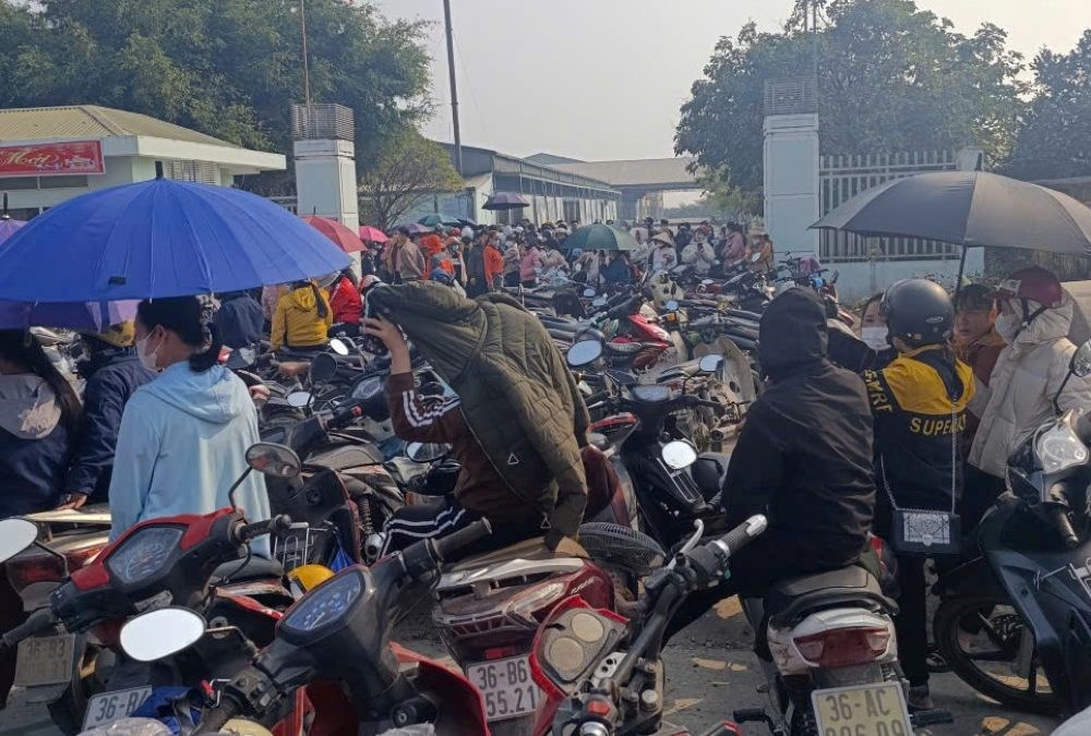 Hơn 1.000 tỉ đồng bảo hiểm bị chậm đóng: Quyền lợi hàng nghìn lao động tại Thanh Hóa bị đe dọa - ảnh 1