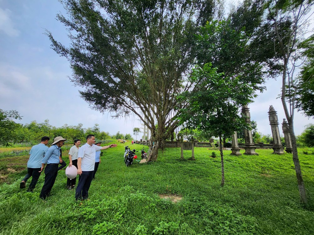 Bảo vệ di sản bằng tâm huyết và xã hội hóa - ảnh 5