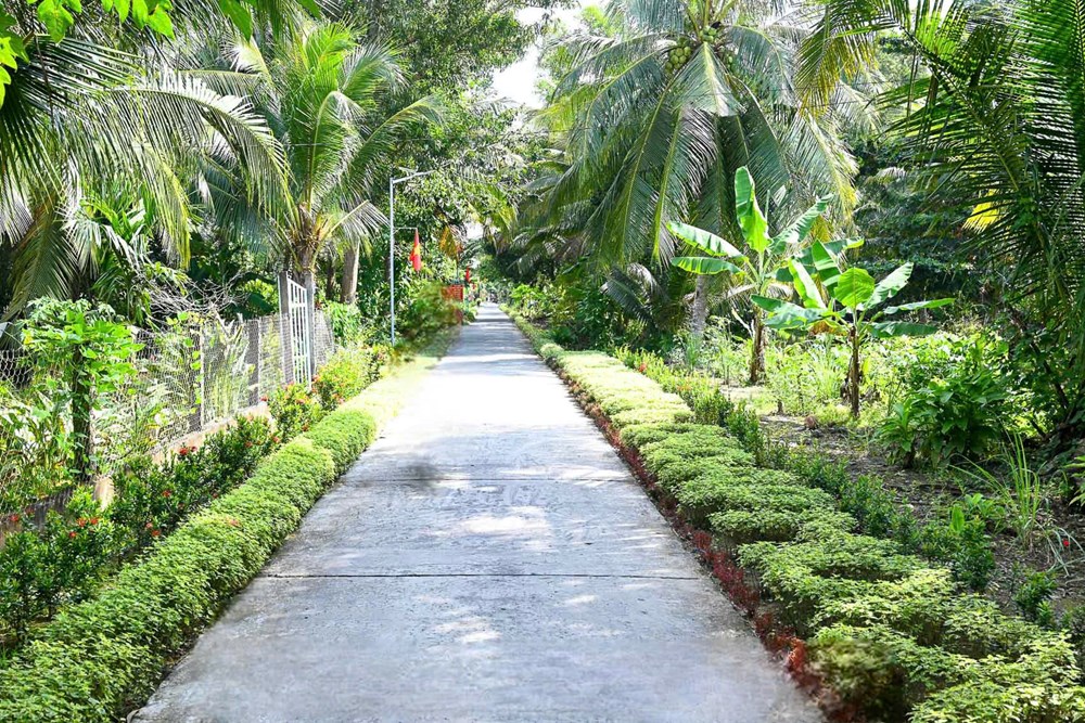 Bài cuối - Vững bước dưới bóng thời gian - ảnh 2