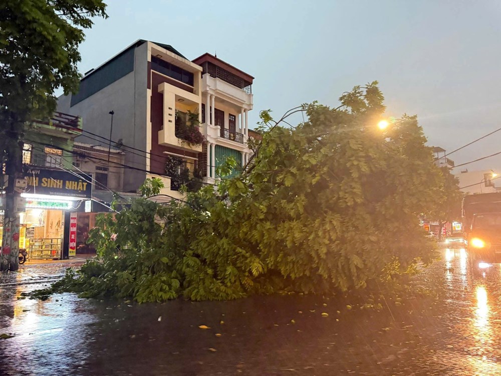 Cây đổ, mái tôn bay, ô tô bị đè tại Thanh Hóa sau mưa lớn do bão số 3 - ảnh 6