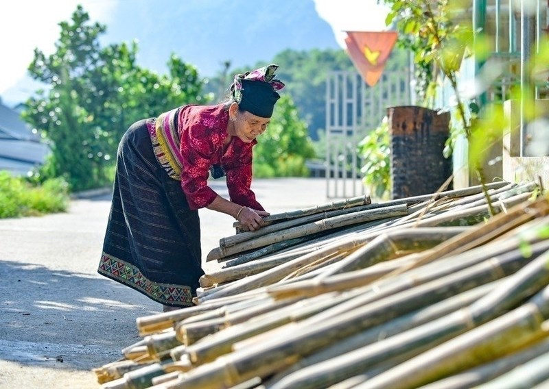 “Vàng xanh” xứ Thanh: Từ sản xuất thô đến chuỗi giá trị xuất khẩu - ảnh 2