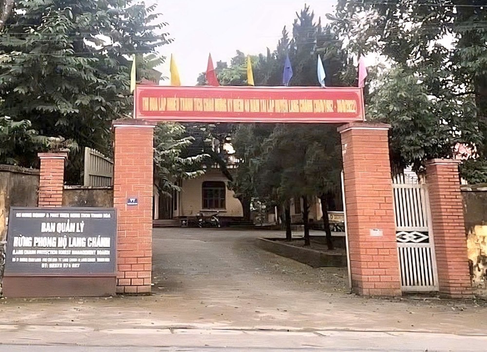 Thanh Hóa sắp xếp mạnh đơn vị nông nghiệp và môi trường: Giảm 29 đầu mối - ảnh 1