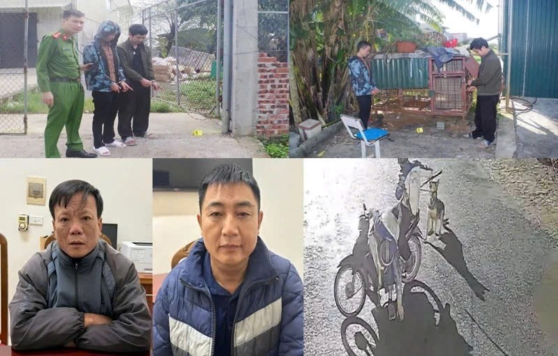 Truy bắt ổ nhóm trộm chó manh động trong đêm khuya - ảnh 1