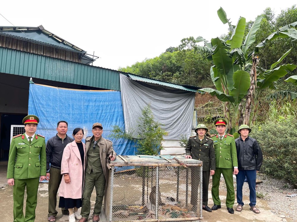 Công an xã vận động người dân giao nộp 2 cá thể khỉ quý hiếm - ảnh 1