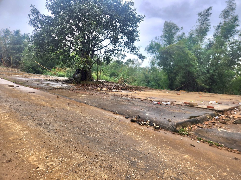 Thanh Hóa khẩn trương chỉnh trang Di tích khởi nghĩa Bà Triệu, đón khách từ 19.1 - ảnh 1