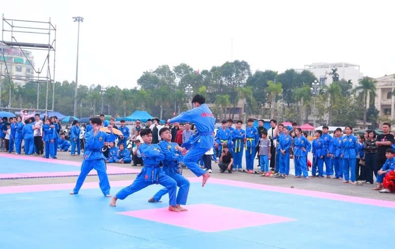 Vovinam rộn ràng ngày xuân ở xứ Thanh - ảnh 1