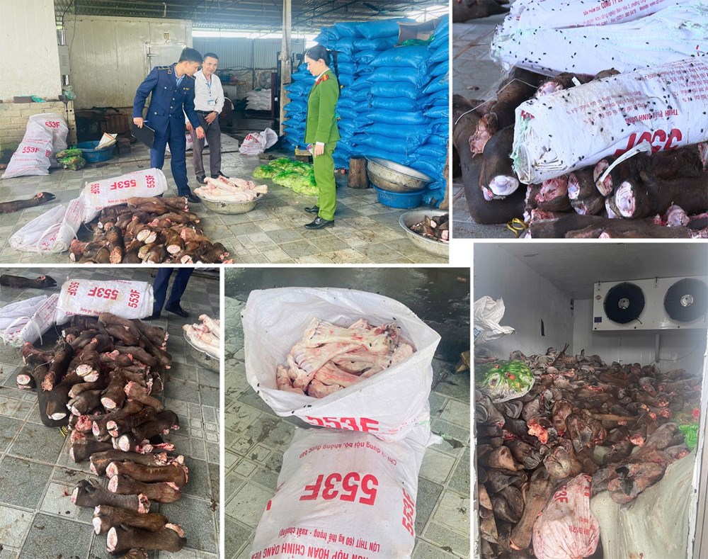 Giật mình 6 tấn xương, chân trâu bò bốc mùi trong kho lạnh ở Thanh Hóa - ảnh 1