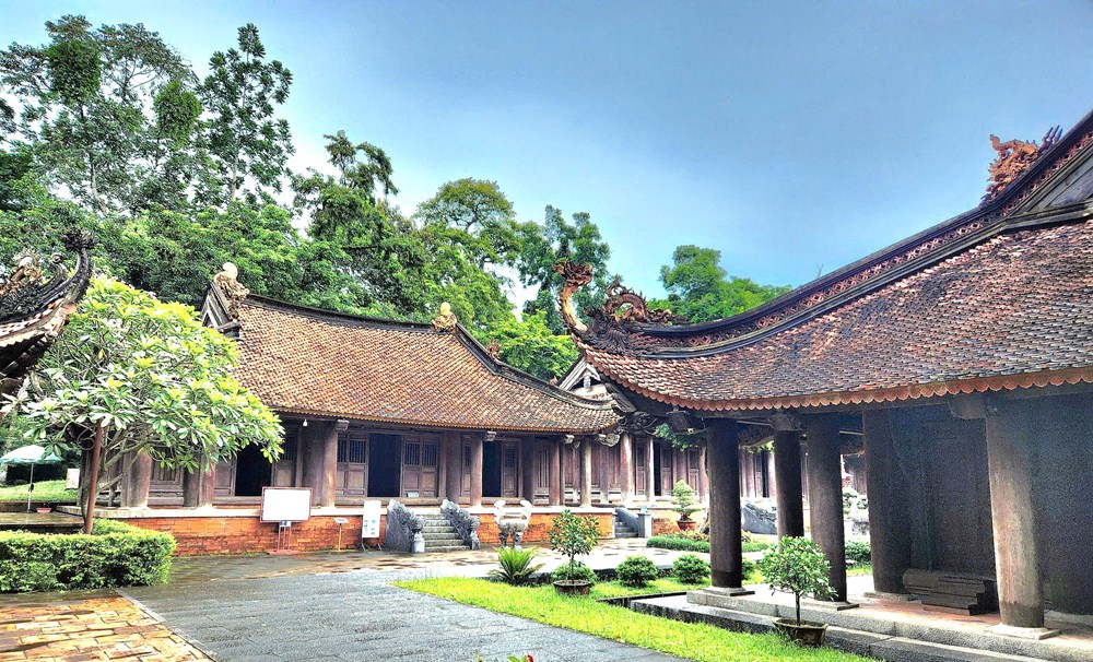 Chạm vào là “cười”: Bí ẩn cây ổi trăm tuổi ở Lam Kinh - ảnh 3