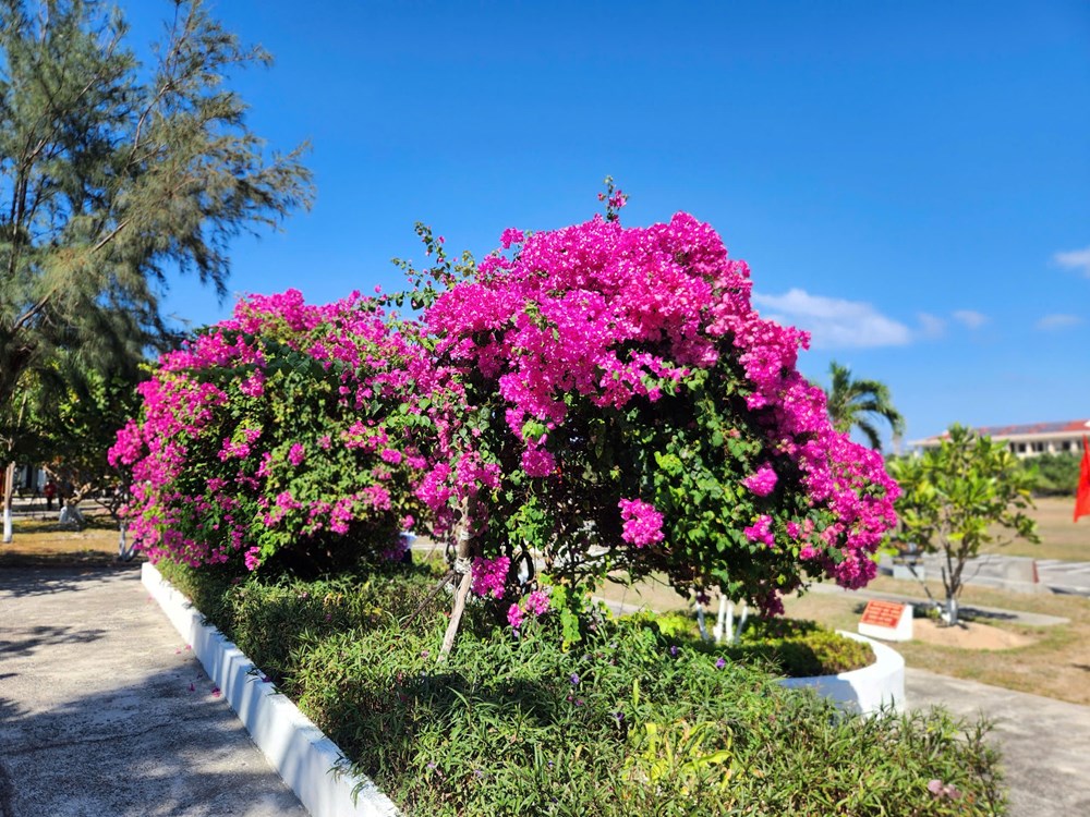 Hành trình Trường Sa: Nối nhịp đất liền - khắc sâu chủ quyền biển đảo - ảnh 9