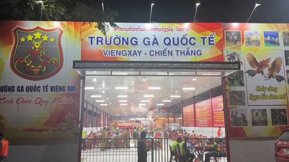 Triệt phá “trường gà quốc tế” 1.200 tỉ đồng: Hé lộ đường dây cờ bạc xuyên biên giới tinh vi - ảnh 1