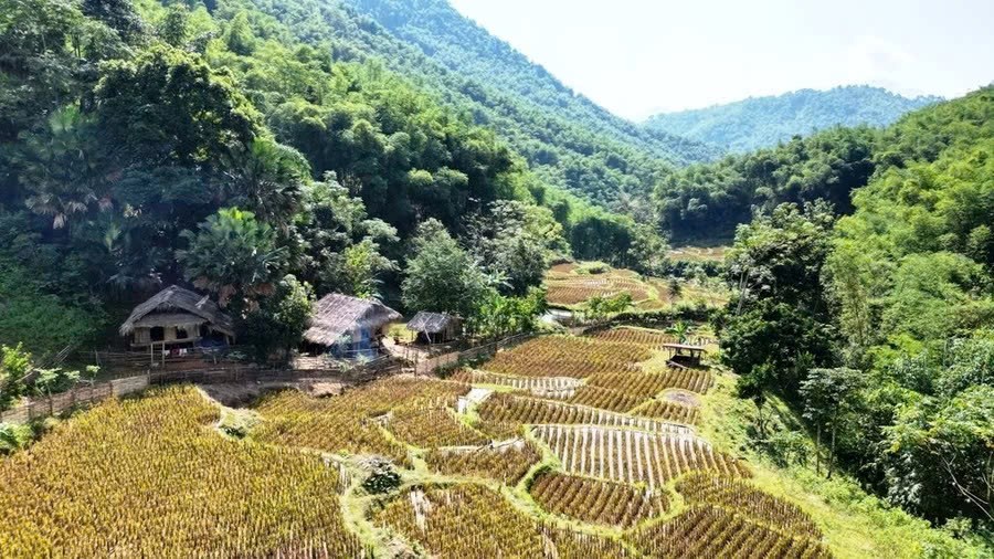 “Đánh thức” Pù Hu thành điểm đến xanh của xứ Thanh - ảnh 1